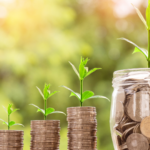 Money jar and coin stacks with green plants